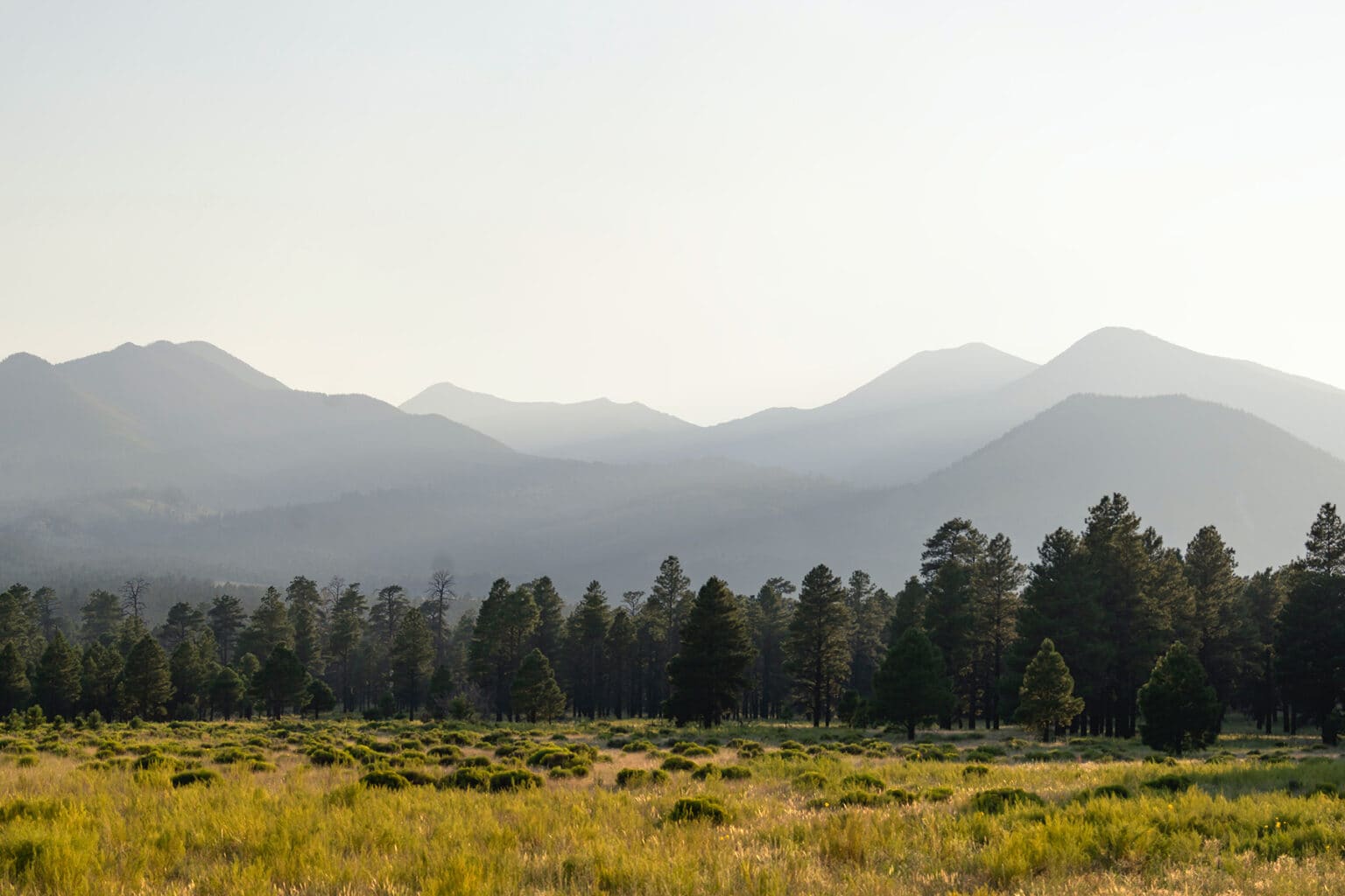 Living in Flagstaff & Northern Arizona Colorado Plateau Center for