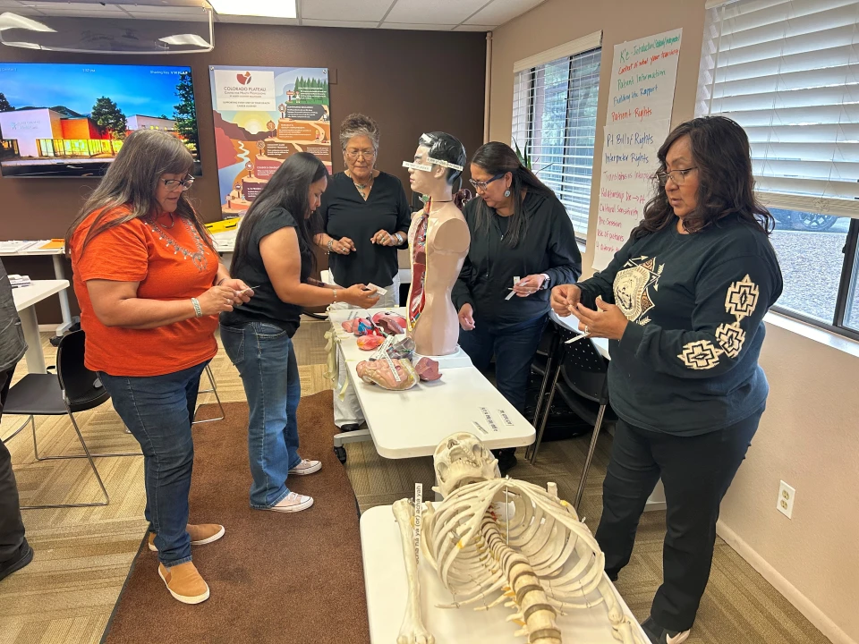 Participants practice anatomy terms during the Navajo Medical Interpreter Training on July 17th in Flagstaff.